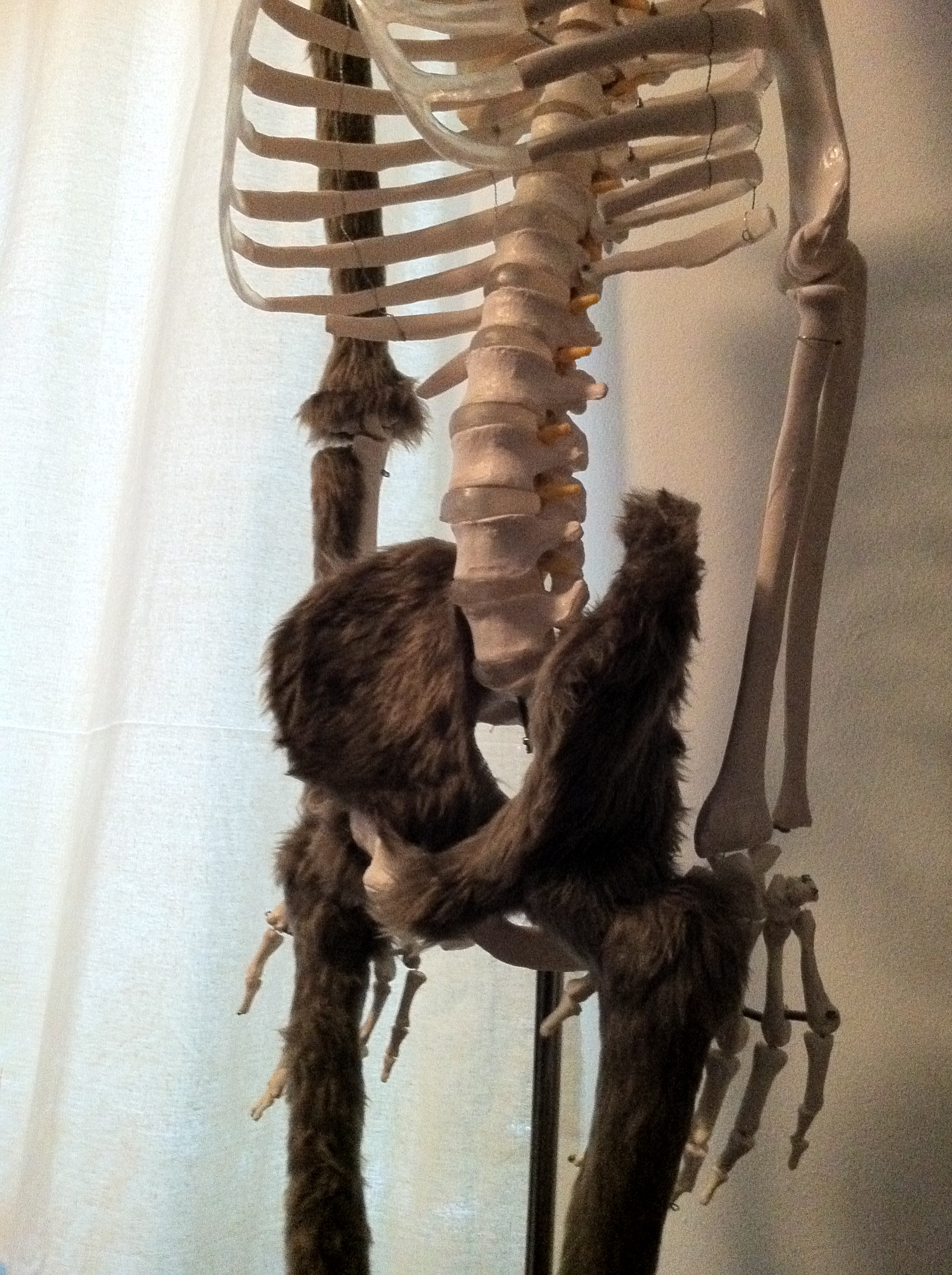 Play With Me – a work in progress